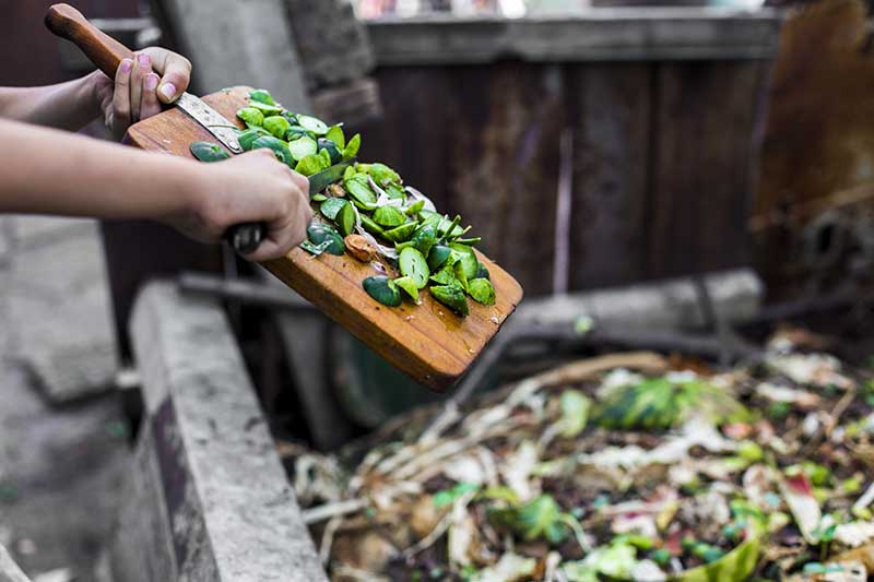 Food scraps being scraped into waste